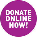 Donate Online Now button