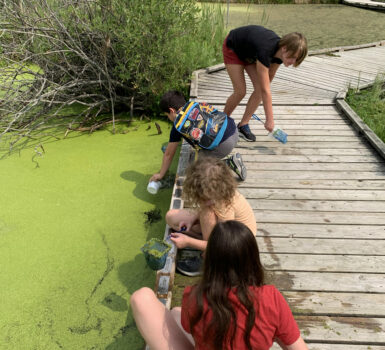 MTYP summer camp students investigate what's under the surface of the water at Fort Whyte Alive